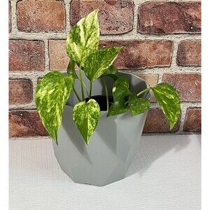 Geometric Planter Flower Pot Gray Round Plastic Pop Out Draining Holes